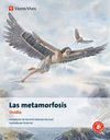 Metamorfosis ovidio clasicos adapta