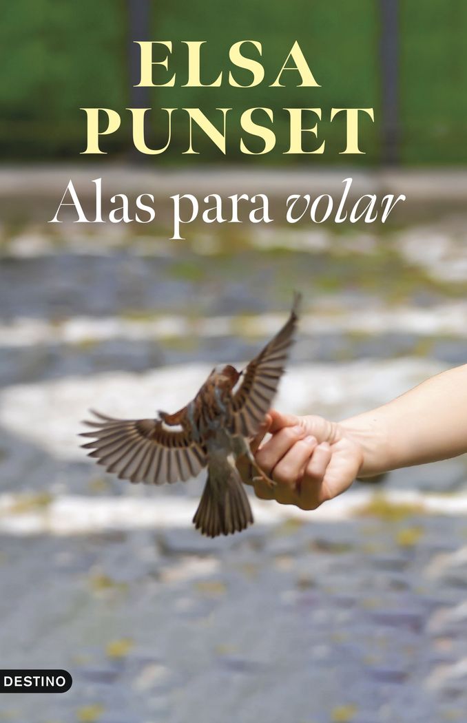 Alas para volar 1 Alas para volar