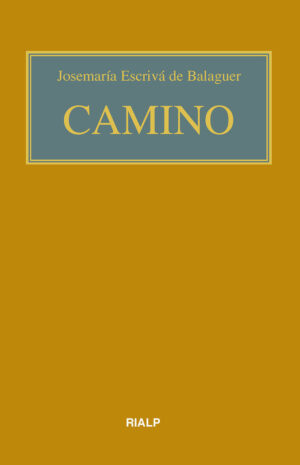 Camino escriba de balaguer
