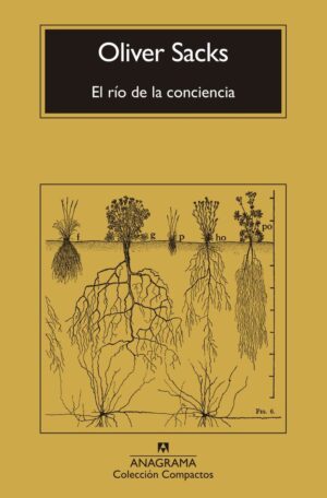 El río de la conciencia