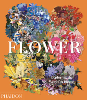Flowers exploring the world in bloo