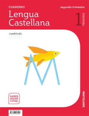 Lengua castellana cuaderno