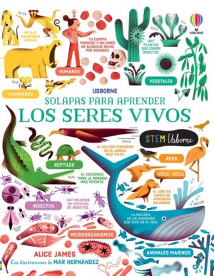Los seres vivos solapas para aprend