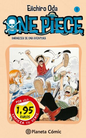 One piece 1 1