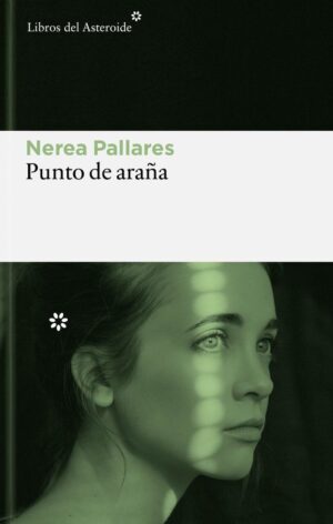 Punto de araña