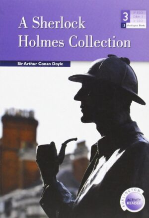 Sherlock holmes burlington