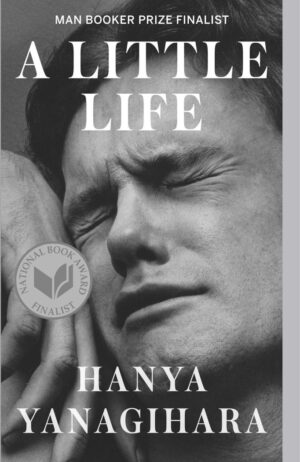 Inicio 3 A little life