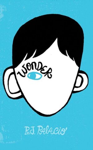 Rollercoasters: Wonder reader