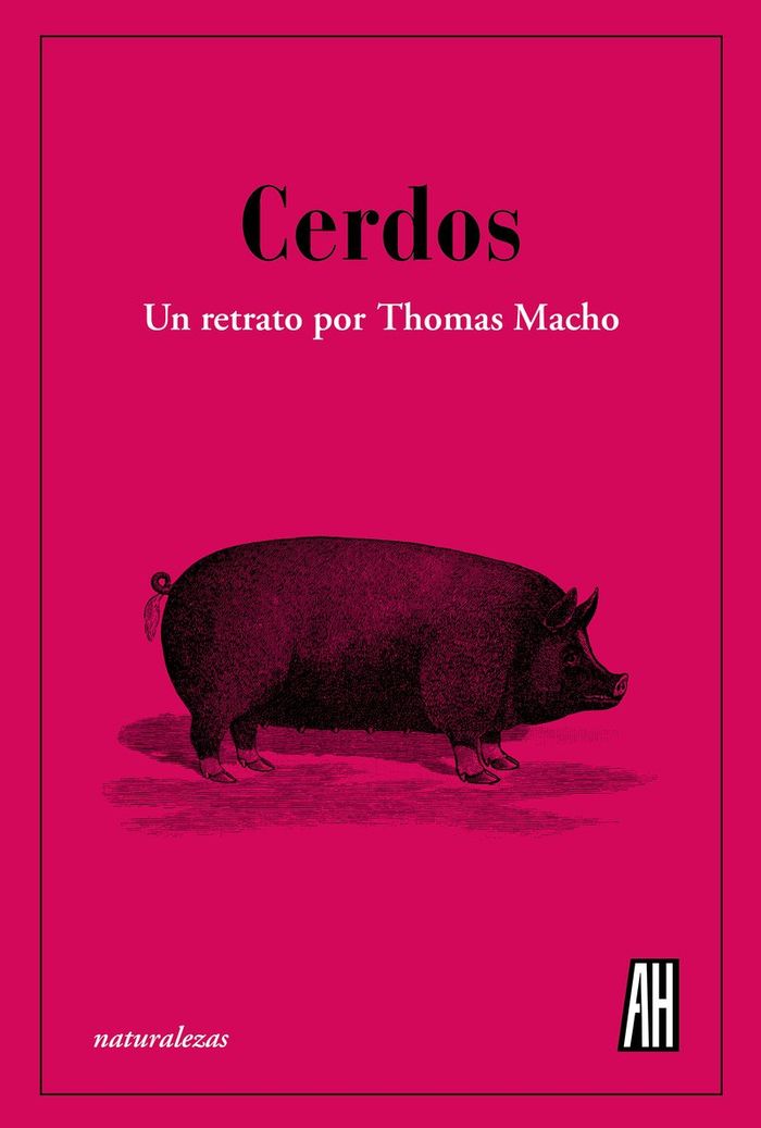 Cerdos 1 Cerdos