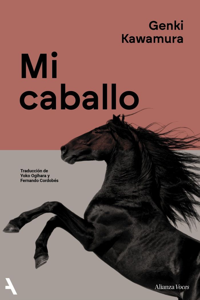 Mi caballo 1 Mi caballo