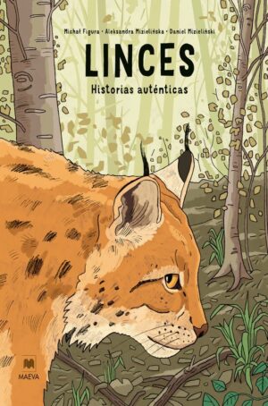 Inicio 3 Linces: Historias auténticas